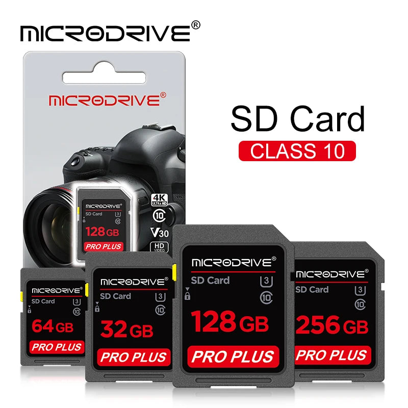 Standard Class 10 SD Card