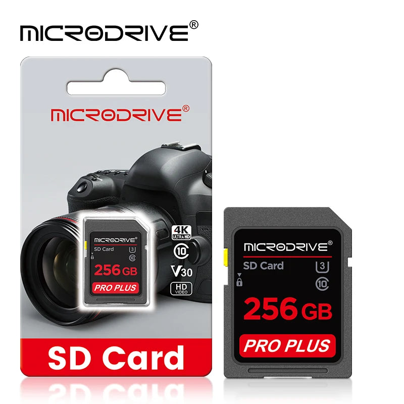 Standard Class 10 SD Card